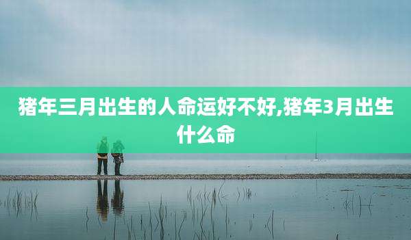 猪年三月出生的人命运好不好,猪年3月出生什么命