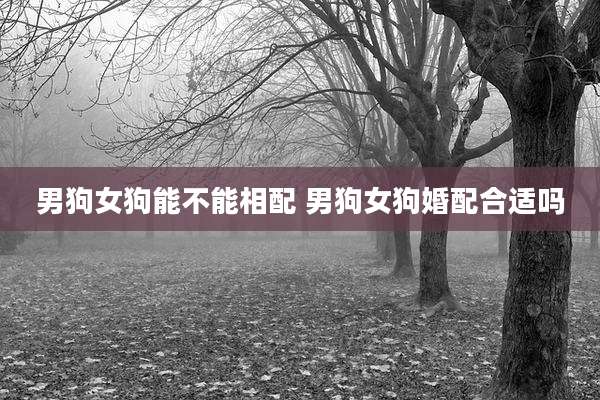 男狗女狗能不能相配 男狗女狗婚配合适吗