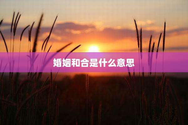 婚姻和合是什么意思