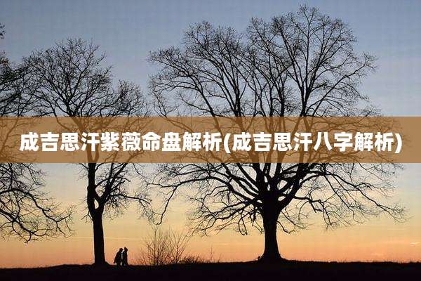 成吉思汗紫薇命盘解析(成吉思汗八字解析)