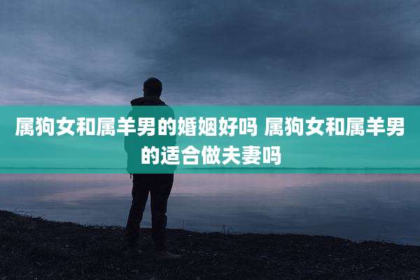 属狗女和属羊男的婚姻好吗 属狗女和属羊男的适合做夫妻吗