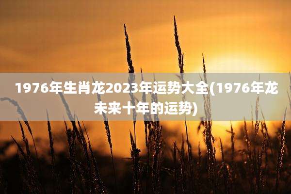 1976年生肖龙2023年运势大全(1976年龙未来十年的运势)