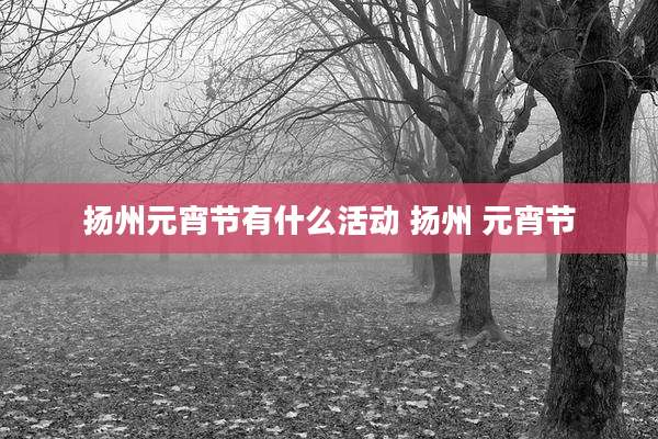 扬州元宵节有什么活动 扬州 元宵节