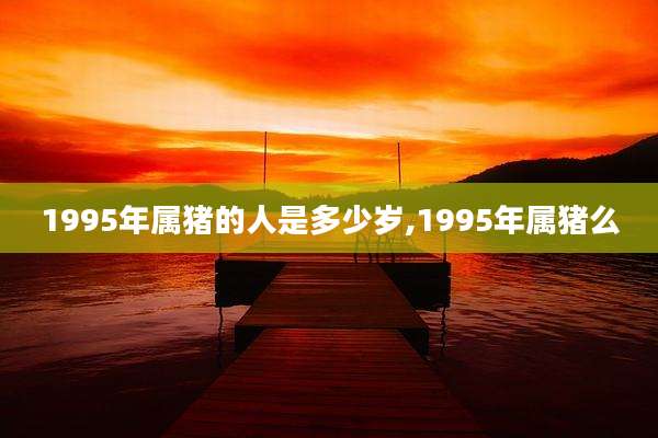 1995年属猪的人是多少岁,1995年属猪么