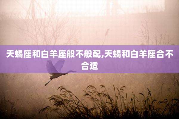 天蝎座和白羊座般不般配,天蝎和白羊座合不合适