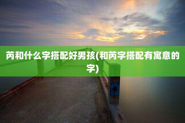 芮和什么字搭配好男孩(和芮字搭配有寓意的字)