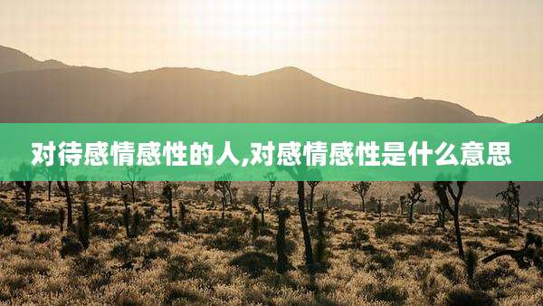 对待感情感性的人,对感情感性是什么意思