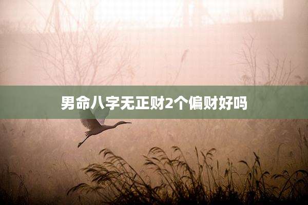 男命八字无正财2个偏财好吗