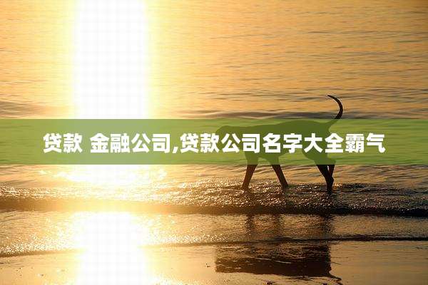 贷款 金融公司,贷款公司名字大全霸气