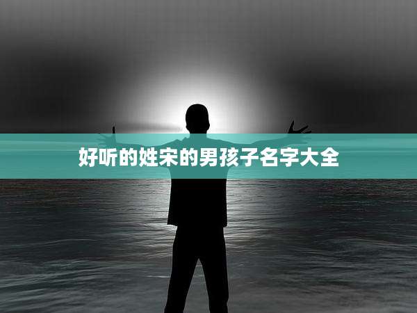 好听的姓宋的男孩子名字大全