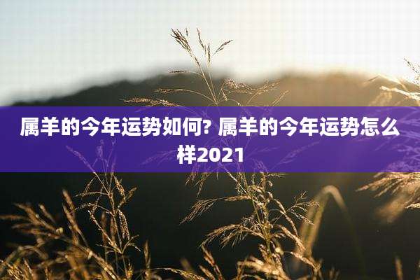 属羊的今年运势如何? 属羊的今年运势怎么样2021