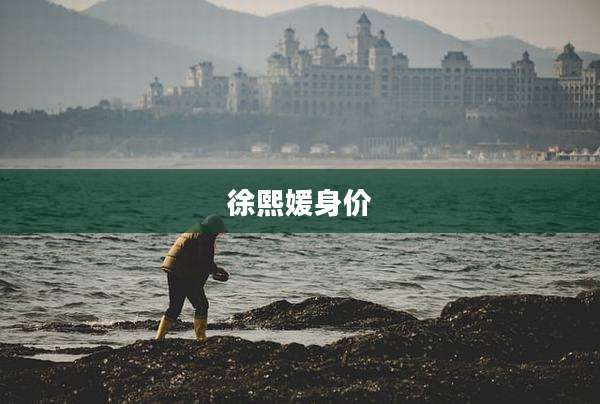 徐熙媛身价