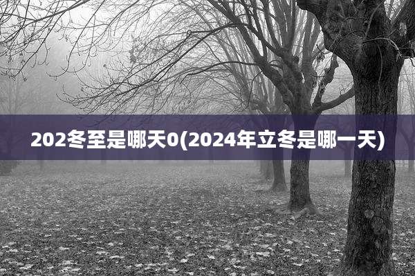 202冬至是哪天0(2024年立冬是哪一天)