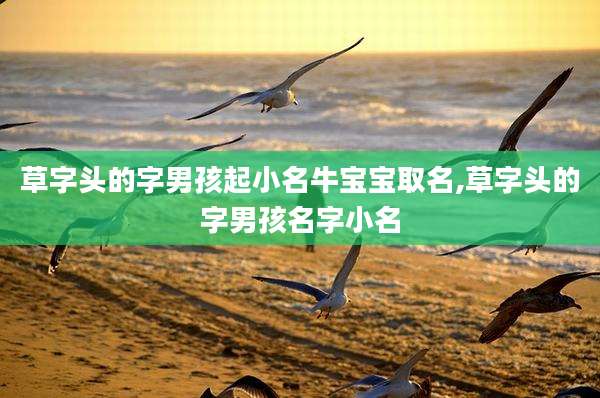 草字头的字男孩起小名牛宝宝取名,草字头的字男孩名字小名