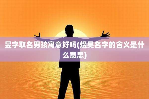 昱字取名男孩寓意好吗(煜昊名字的含义是什么意思)