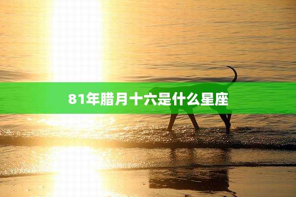81年腊月十六是什么星座