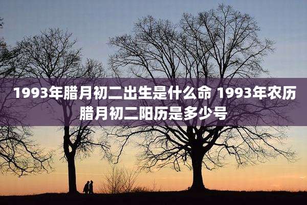 1993年腊月初二出生是什么命 1993年农历腊月初二阳历是多少号