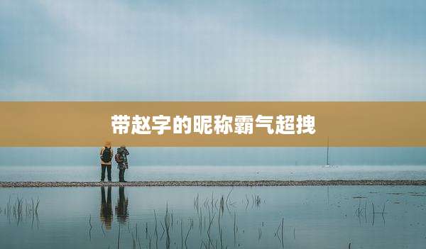 带赵字的昵称霸气超拽