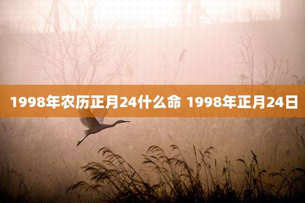 1998年农历正月24什么命 1998年正月24日