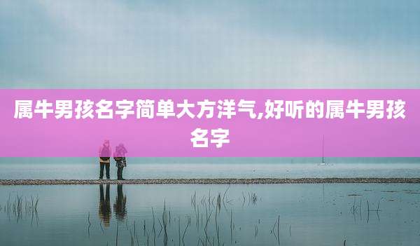 属牛男孩名字简单大方洋气,好听的属牛男孩名字