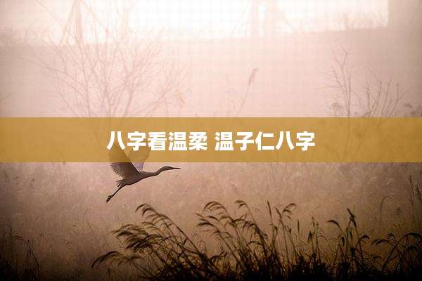 八字看温柔 温子仁八字