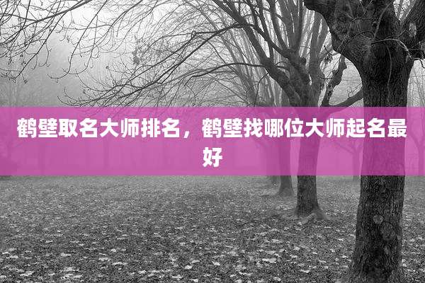 鹤壁取名大师排名,鹤壁找哪位大师起名最好