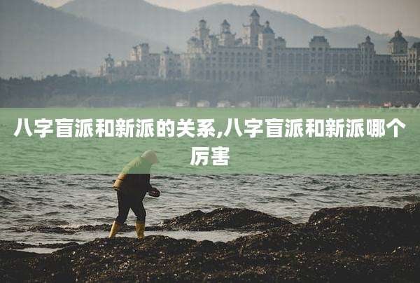 八字盲派和新派的关系,八字盲派和新派哪个厉害