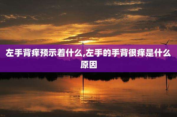 左手背痒预示着什么,左手的手背很痒是什么原因