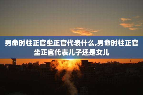 男命时柱正官坐正官代表什么,男命时柱正官坐正官代表儿子还是女儿