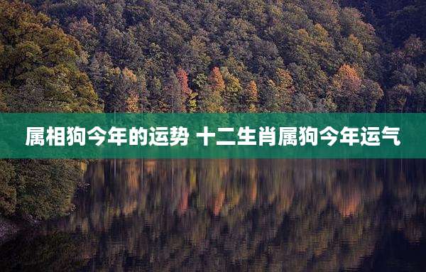 属相狗今年的运势 十二生肖属狗今年运气