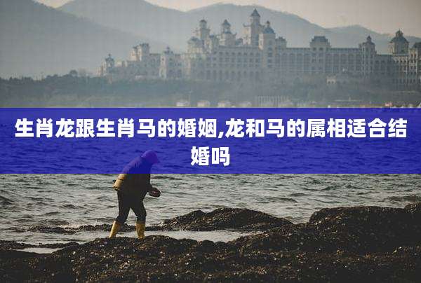 生肖龙跟生肖马的婚姻,龙和马的属相适合结婚吗