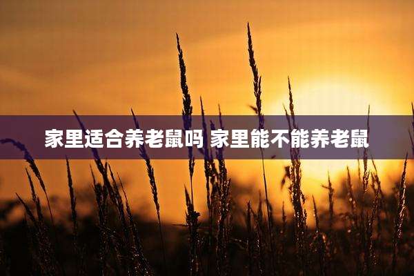 家里适合养老鼠吗 家里能不能养老鼠