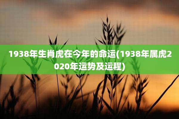 1938年生肖虎在今年的命运(1938年属虎2020年运势及运程)