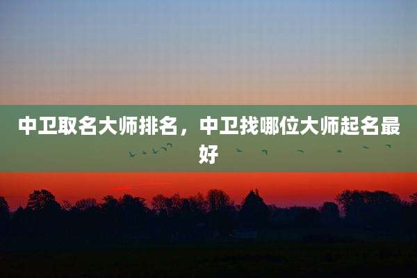 中卫取名大师排名，中卫找哪位大师起名最好