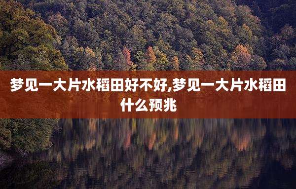 梦见一大片水稻田好不好,梦见一大片水稻田什么预兆