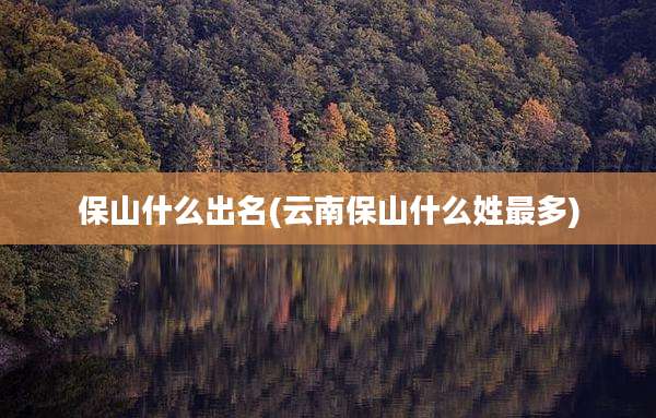 保山什么出名(云南保山什么姓最多)