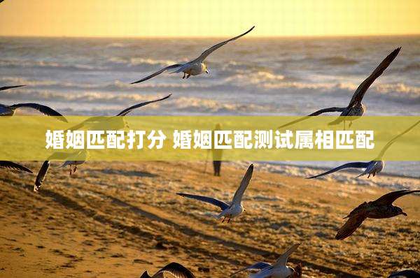 婚姻匹配打分 婚姻匹配测试属相匹配