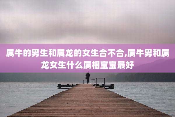 属牛的男生和属龙的女生合不合,属牛男和属龙女生什么属相宝宝最好
