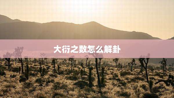 大衍之数怎么解卦