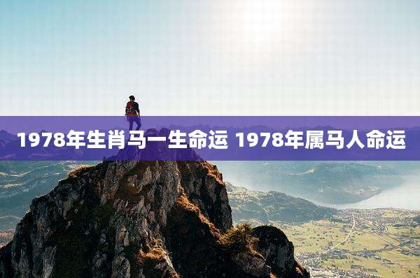 1978年生肖马一生命运 1978年属马人命运