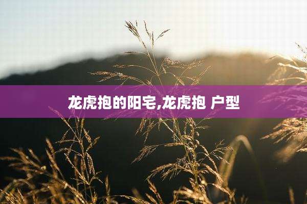 龙虎抱的阳宅,龙虎抱 户型