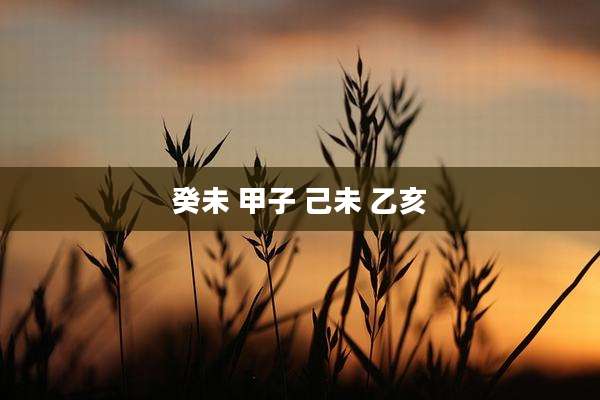 癸未 甲子 己未 乙亥