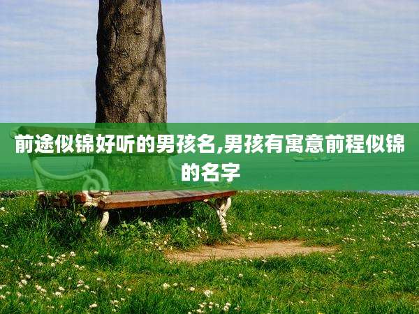 前途似锦好听的男孩名,男孩有寓意前程似锦的名字