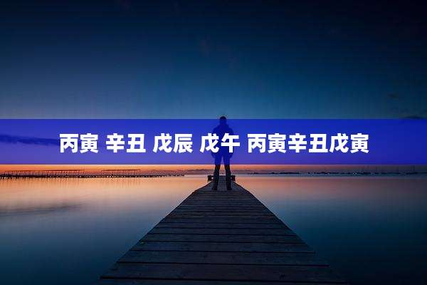 丙寅 辛丑 戊辰 戊午 丙寅辛丑戊寅