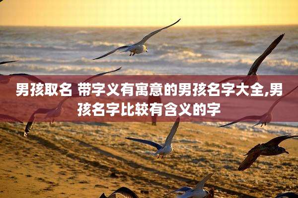 男孩取名 带字义有寓意的男孩名字大全,男孩名字比较有含义的字