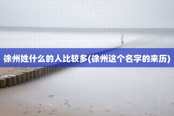 徐州姓什么的人比较多(徐州这个名字的来历)