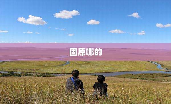 固原哪的
