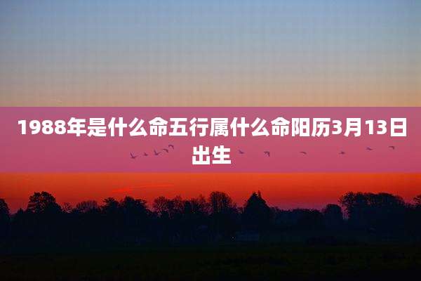1988年是什么命五行属什么命阳历3月13日出生