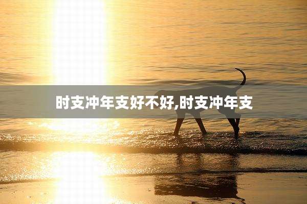 时支冲年支好不好,时支冲年支