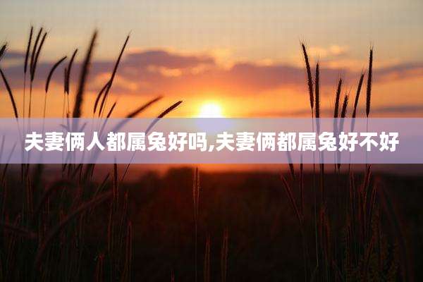 夫妻俩人都属兔好吗,夫妻俩都属兔好不好